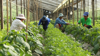 "Los agricultores familiares no somos ni queremos ser sujetos de asistencialismo"