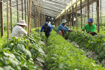 agricultura familiar.jpg