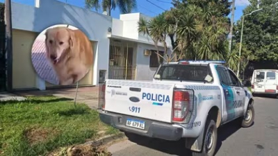Una mujer llevó el perro a la carnicería y preguntó si lo podían "faenar"