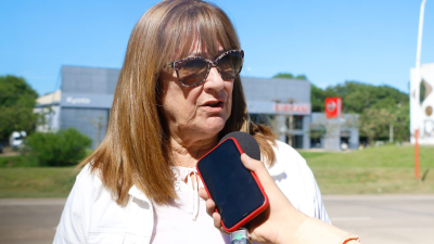 Continúa a buen ritmo el operativo de limpieza en el acceso a Resistencia