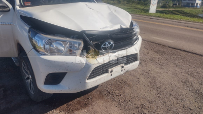 Villa Ángela: una mujer murió en un siniestro vial en la ruta N°95