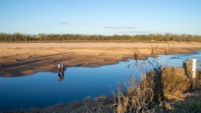 Biodiversidad es todo lo que necesitamos para sobrevivir en la naturaleza