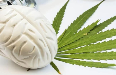 ¿Qué sabemos de la marihuana?