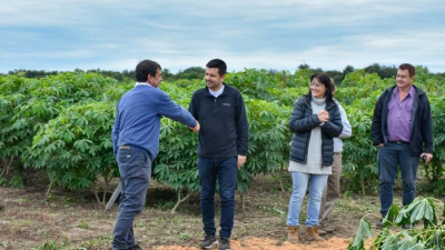 Se realizó una jornada técnica sobre el cultivo de mandioca