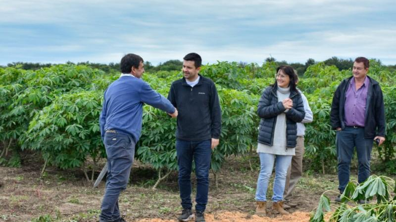 Se realizó una jornada técnica sobre el cultivo de mandioca