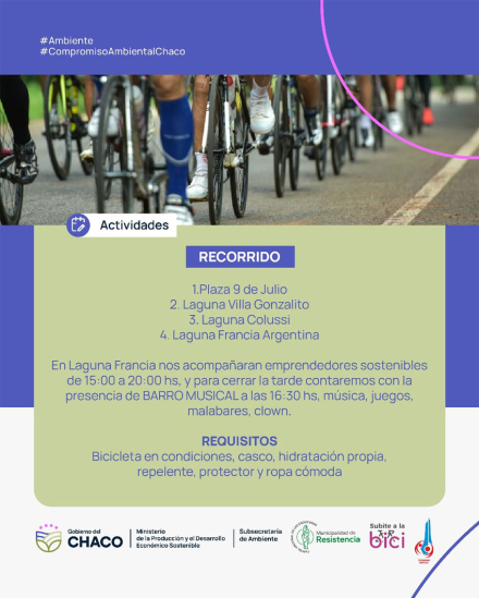 bicis2.jpg