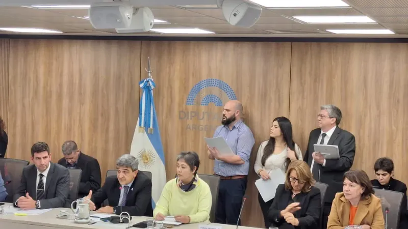 Por segunda semana consecutiva, Pettovello no concurrió a exponer en Diputados