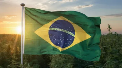 Histórico: la Justicia falló a favor de despenalizar la tenencia de cannabis para uso personal