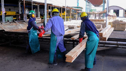 Trabajadores.jpg