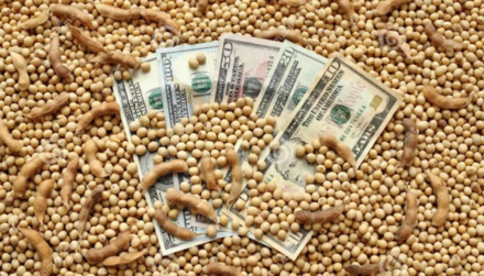 soja dolares.jpg