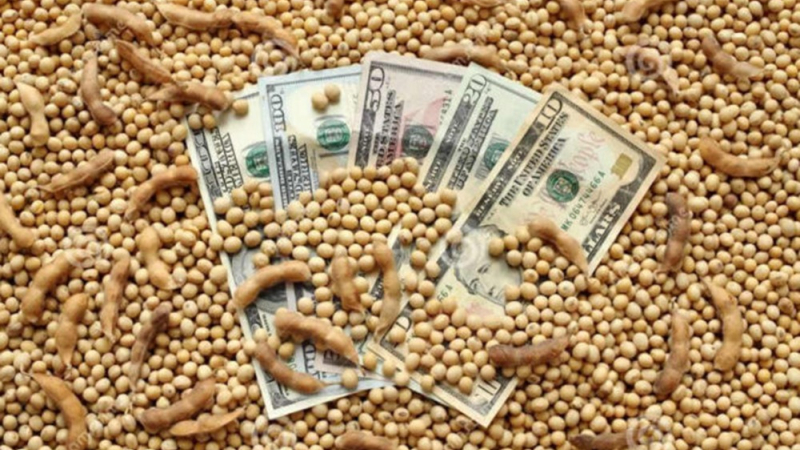 Solo llegaron a 3,8 millones de toneladas
