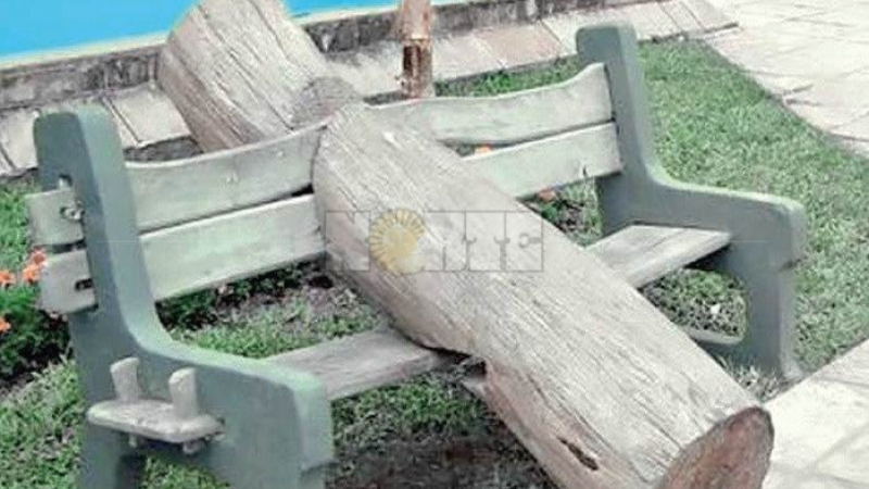 Un premio consuelo que se convirtió en un icono