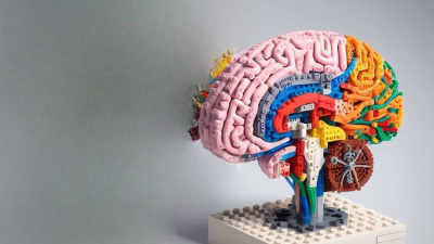El impacto de la personalidad en el envejecimiento cognitivo
