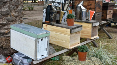 La producción de miel, una alternativa para los pequeños productores