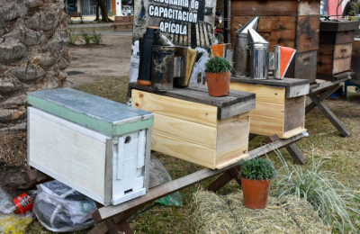La producción de miel, una alternativa para los pequeños productores