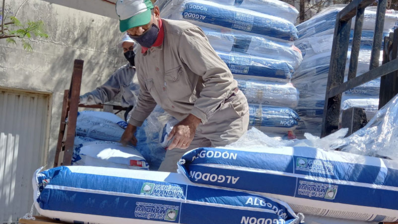 El gobierno dispuso la compra de semillas para los pequeños y medianos productores