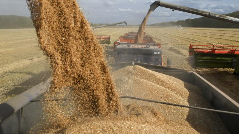 En agosto, las estimaciones son de mayores precipitaciones que en julio
