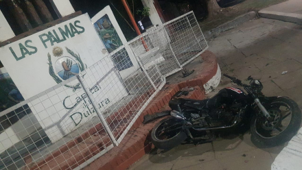 palmas.jpg
