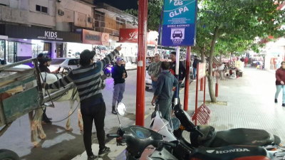 El Municipio y la Policía realizaron secuestros de carros con tracción a sangre