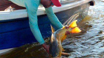 Diversa agenda cultural en la Pesca del Dorado 2024 en la Isla del Cerrito