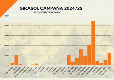 Intension-de-siembra-de-girasol.jpg