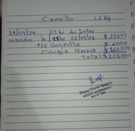 capullo2.jpg