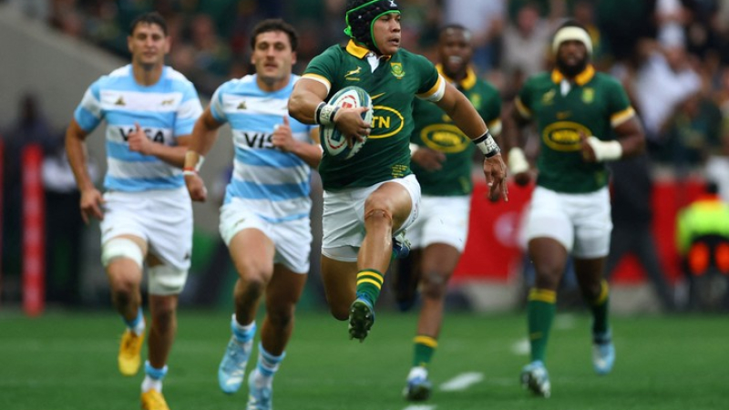 Los Pumas perdieron por la superioridad de Sudáfrica y las tarjetas