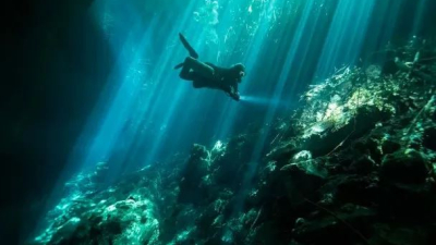 Encontraron muerto a un buzo argentino que había desaparecido en Yucatán