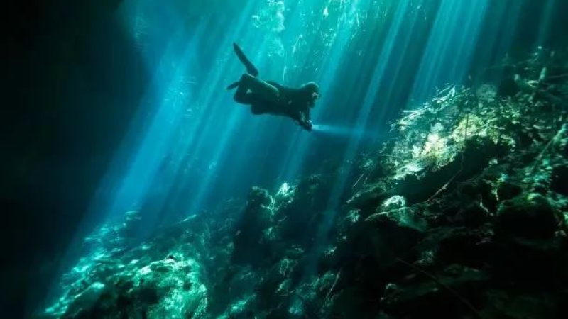 Encontraron muerto a un buzo argentino que había desaparecido en Yucatán