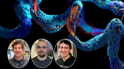 Nobel de Química al desarrollo de herramientas para diseñar proteínas