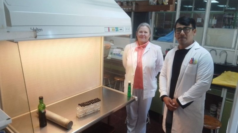 Descubren bacterias inhibidoras de otras que infectan los alimentos