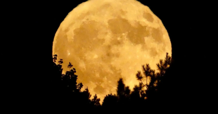 luna2.jpg