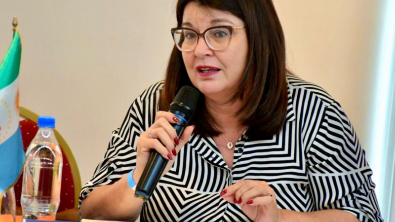 "No está en riesgo la vigencia de los pases libres en el transporte para personas con discapacidad"