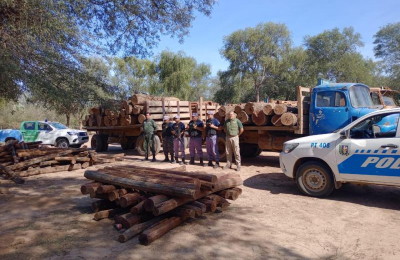 Tráfico de madera: un negocio ilegal que mueve millones de pesos