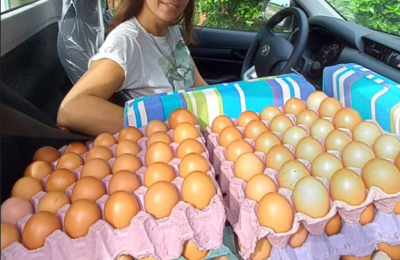 Gallinas felices, huevos más sanos