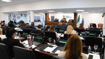 La suspensión de las PASO, lo más importante del orden del día