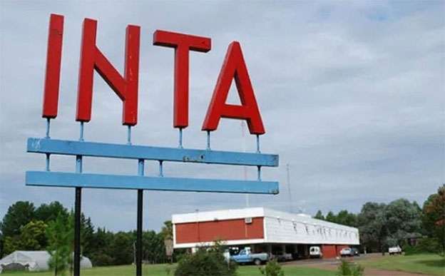 inta.jpg