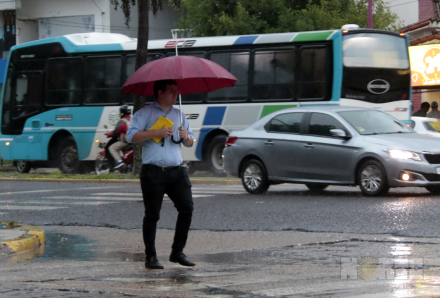 luvia2.jpg