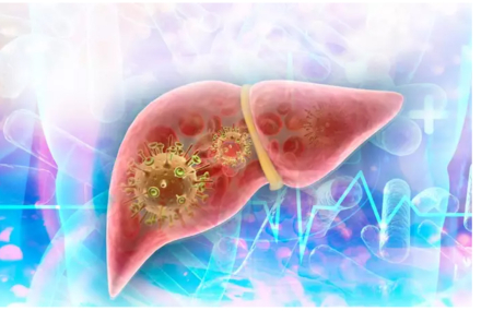 hepatitic C.jpg