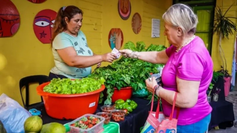 Feria Cultiva en el patio cecualero