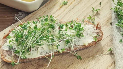 ¿Cuál es la verdura más saludable y que ayuda a prevenir el cáncer?