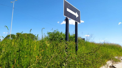 Preocupación de vecinos por pastizales en travesía urbana de la ruta 11
