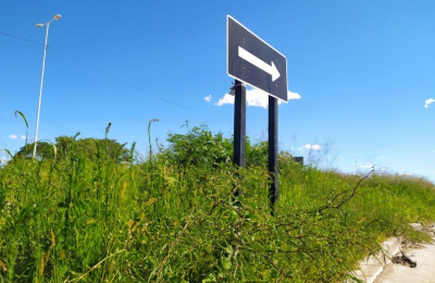 Preocupación de vecinos por pastizales en travesía urbana de la ruta 11