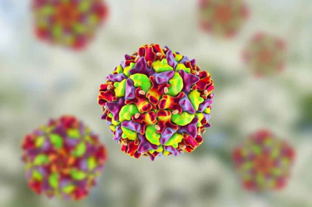 virus.jpg