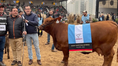 El Chaco tiene la mejor vaca del mundo
