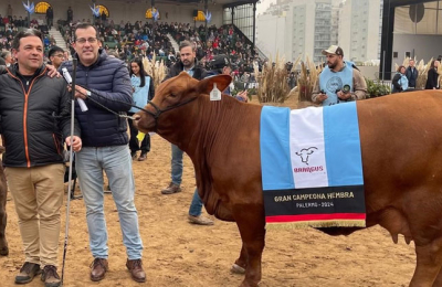 El Chaco tiene la mejor vaca del mundo