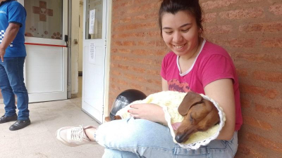 Cuidados para perros y gatos que huyen por pirotecnia