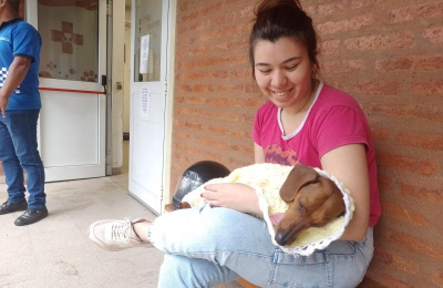 Cuidados para perros y gatos que huyen por pirotecnia