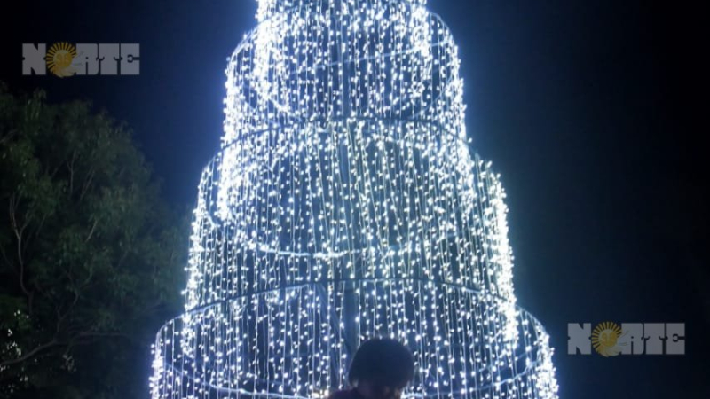 Las luces de los arbolitos de Navidad se encendieron en el Chaco