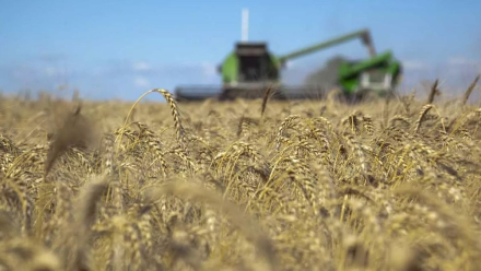 agroindustria.jpg